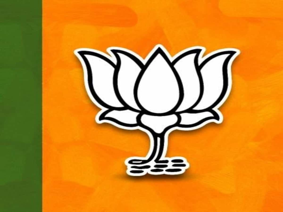 राज्यसभा में भाजपा का दबदबा: विपक्ष कमजोर, बहुमत के करीब बीजेपी